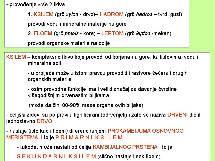 - provođenje vrše 2 tkiva 1. KSILEM (grč xylon - drvo)– HADROM (grč hadros