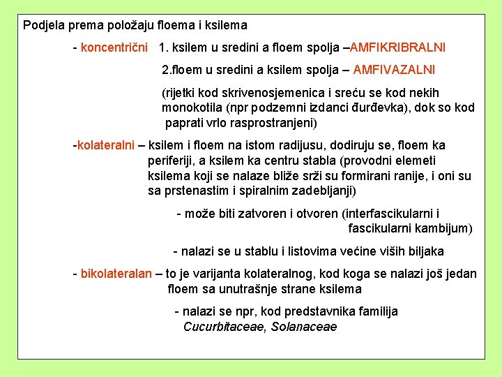 Podjela prema položaju floema i ksilema - koncentrični 1. ksilem u sredini a floem