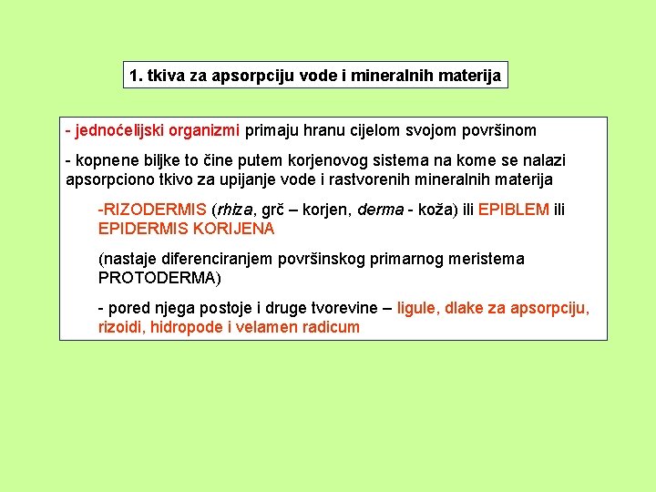 1. tkiva za apsorpciju vode i mineralnih materija - jednoćelijski organizmi primaju hranu cijelom