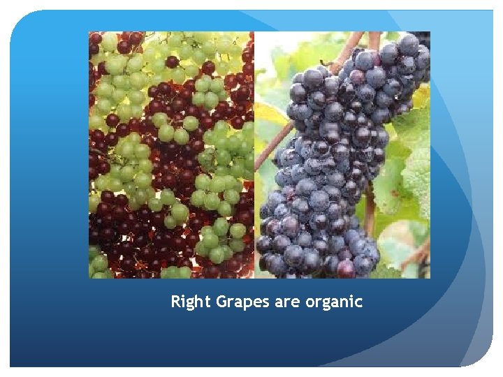 Right Grapes are organic 