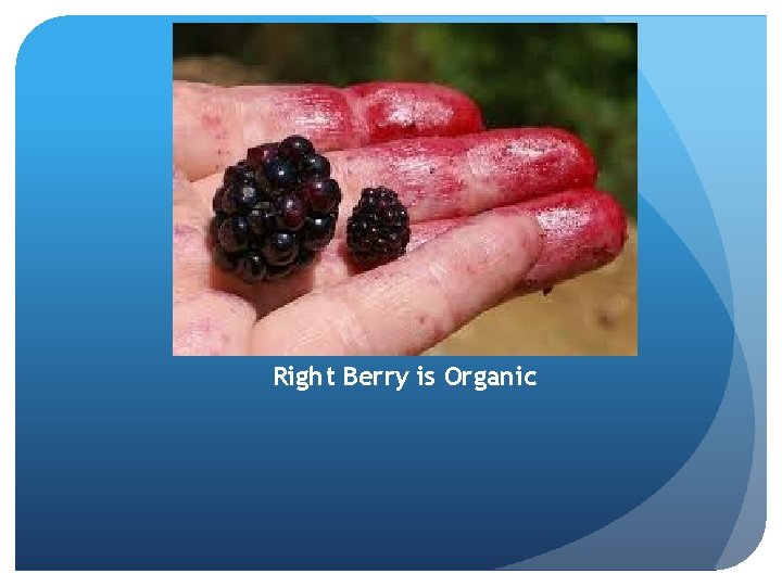 Right Berry is Organic 