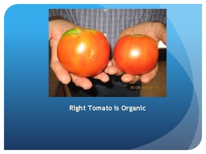 Right Tomato is Organic 