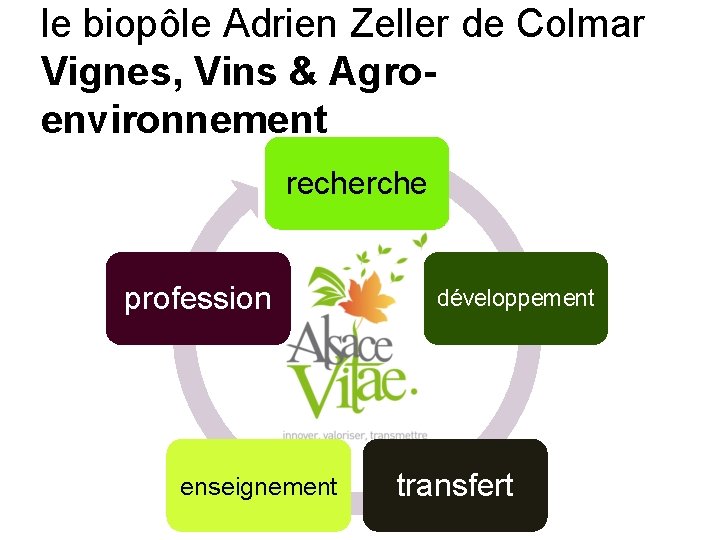 le biopôle Adrien Zeller de Colmar Vignes, Vins & Agroenvironnement Transfert recherche profession enseignement