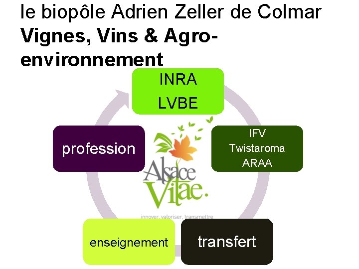 le biopôle Adrien Zeller de Colmar Vignes, Vins & Agroenvironnement INRA Transfert LVBE profession