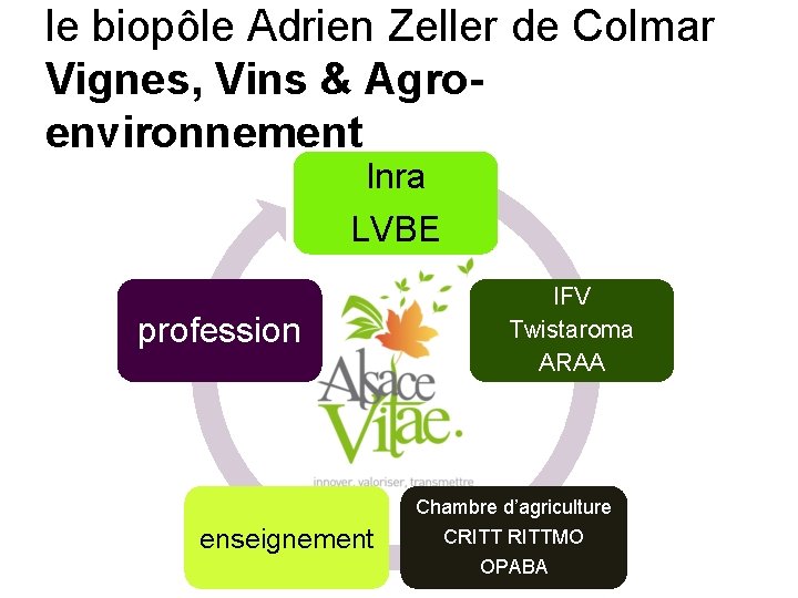 le biopôle Adrien Zeller de Colmar Vignes, Vins & Agroenvironnement Inra Transfert LVBE profession
