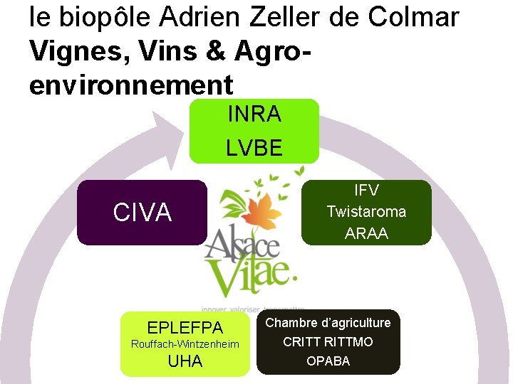 le biopôle Adrien Zeller de Colmar Vignes, Vins & Agroenvironnement INRA Transfert LVBE CIVA