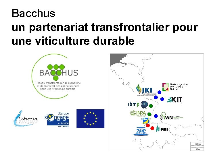 Bacchus un partenariat transfrontalier pour une viticulture durable 