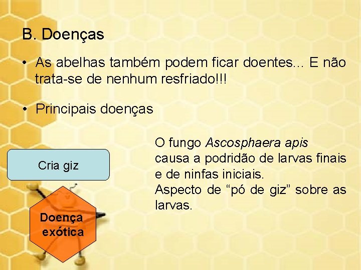 B. Doenças • As abelhas também podem ficar doentes. . . E não trata-se