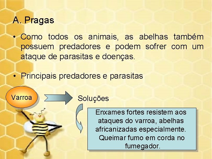 A. Pragas • Como todos os animais, as abelhas também possuem predadores e podem