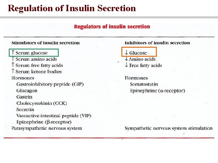 Regulation of Insulin Secretion 