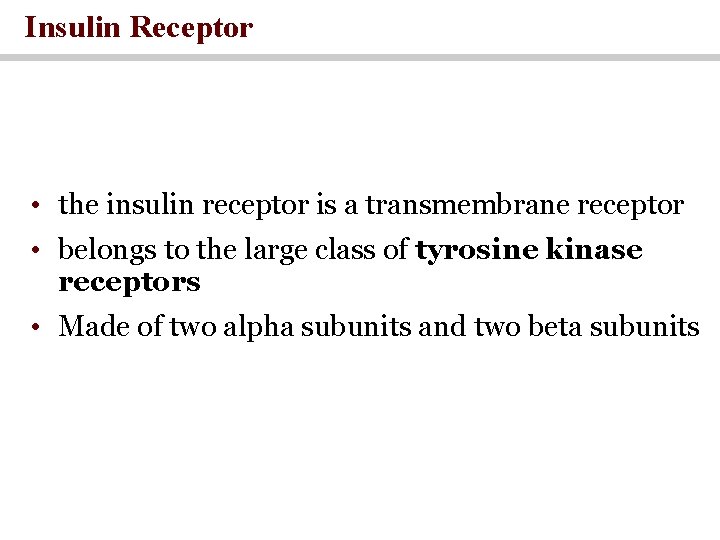 Insulin Receptor • the insulin receptor is a transmembrane receptor • belongs to the