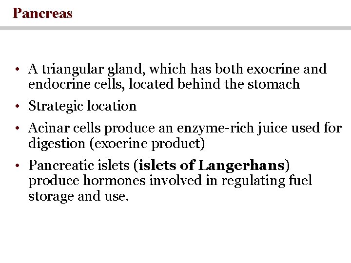 Pancreas • A triangular gland, which has both exocrine and endocrine cells, located behind