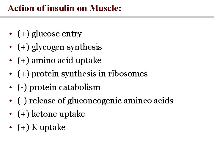 Action of insulin on Muscle: • (+) glucose entry • (+) glycogen synthesis •