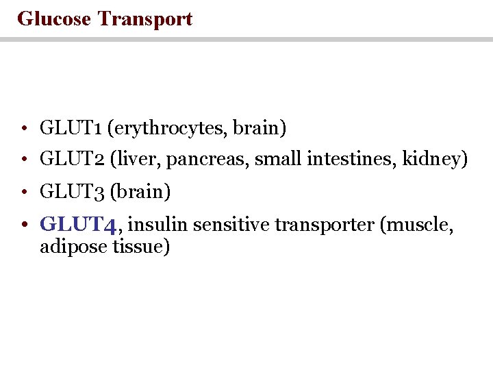 Glucose Transport • GLUT 1 (erythrocytes, brain) • GLUT 2 (liver, pancreas, small intestines,