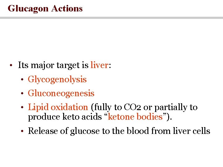 Glucagon Actions • Its major target is liver: • Glycogenolysis • Gluconeogenesis • Lipid