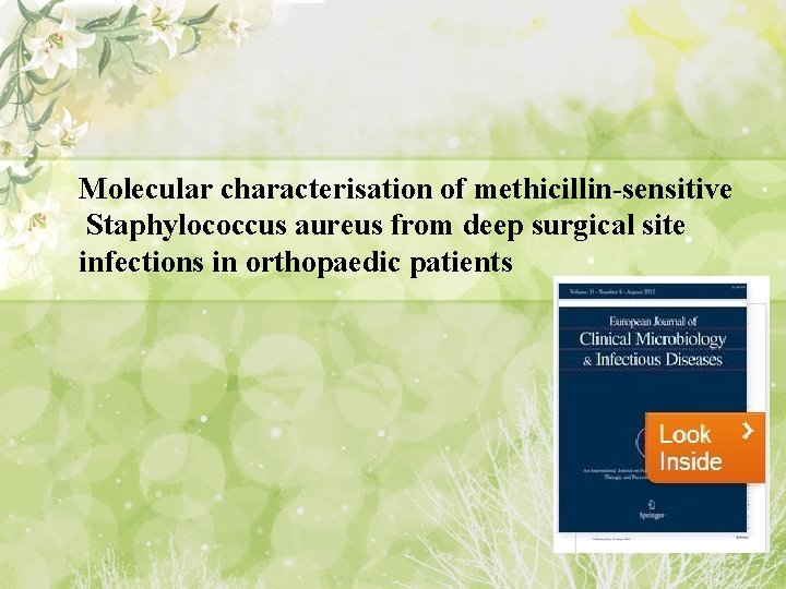 Molecular characterisation of methicillin-sensitive Staphylococcus aureus from deep surgical site infections in orthopaedic patients