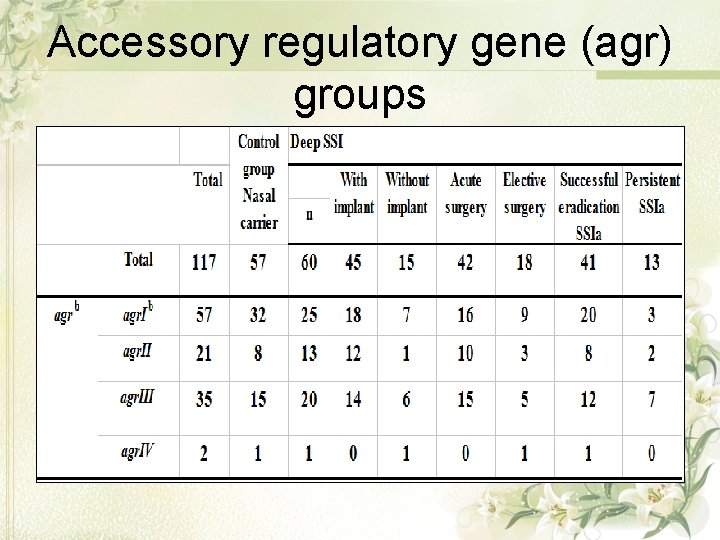 Accessory regulatory gene (agr) groups 