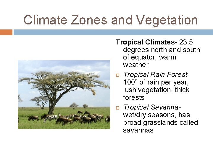 Climate Zones and Vegetation Tropical Climates- 23. 5 degrees north and south of equator,