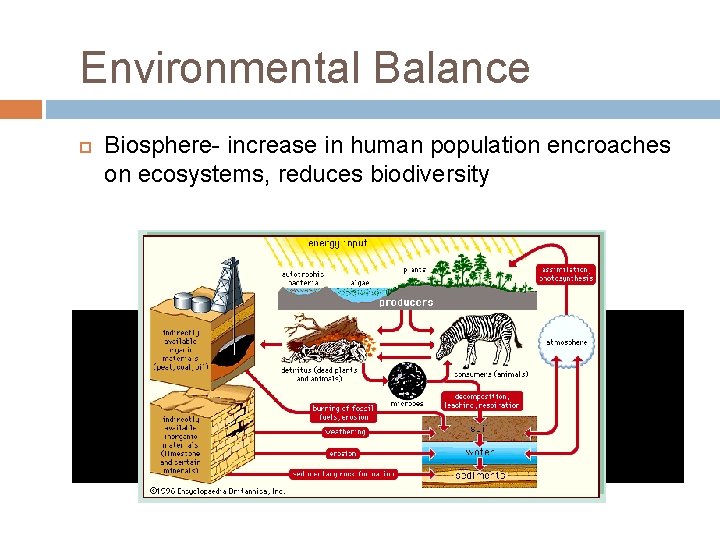 Environmental Balance Biosphere- increase in human population encroaches on ecosystems, reduces biodiversity 