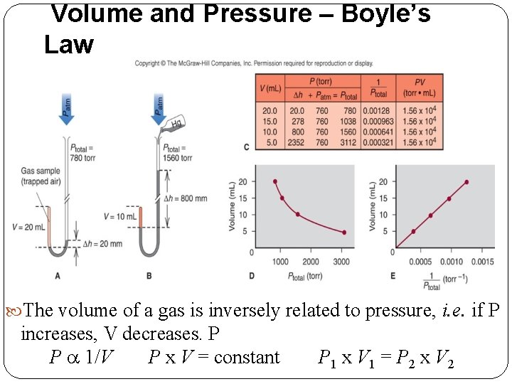 Volume and Pressure – Boyle’s Law The volume of a gas is inversely related
