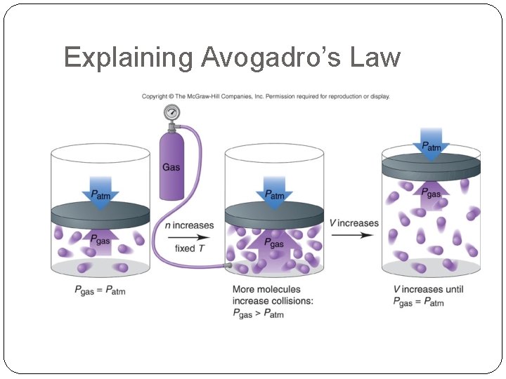 Explaining Avogadro’s Law 
