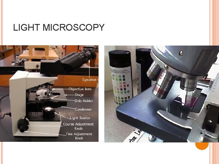LIGHT MICROSCOPY 