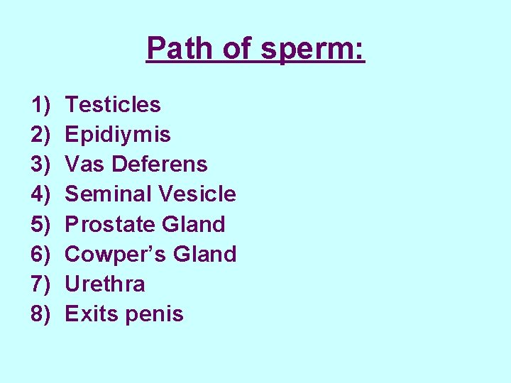 Path of sperm: 1) 2) 3) 4) 5) 6) 7) 8) Testicles Epidiymis Vas