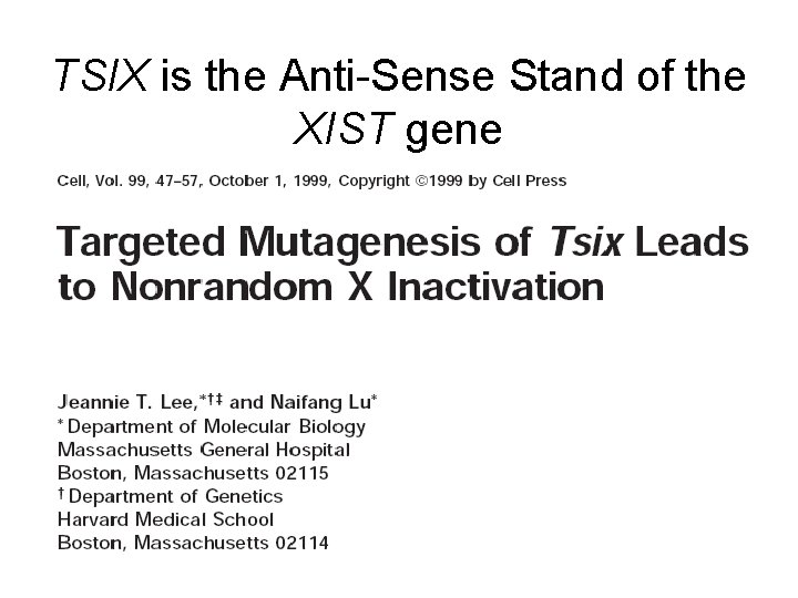 TSIX is the Anti-Sense Stand of the XIST gene 
