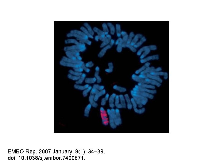 EMBO Rep. 2007 January; 8(1): 34– 39. doi: 10. 1038/sj. embor. 7400871. 