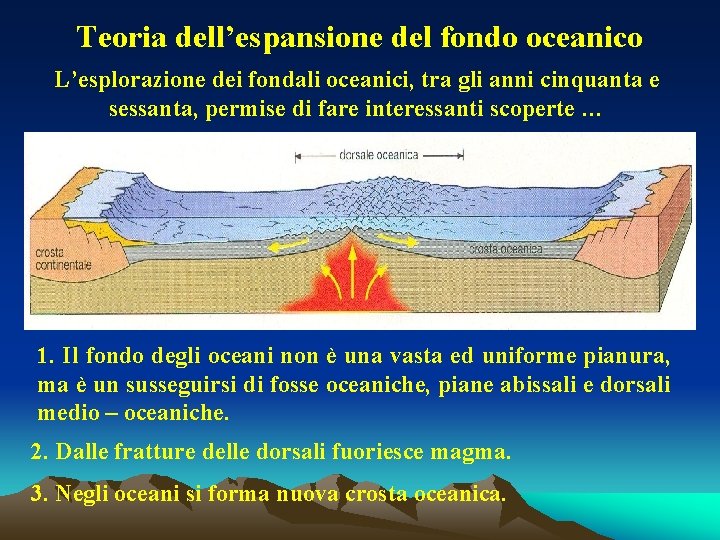 Teoria dell’espansione del fondo oceanico L’esplorazione dei fondali oceanici, tra gli anni cinquanta e