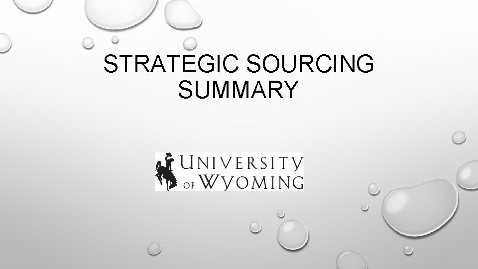 STRATEGIC SOURCING SUMMARY 