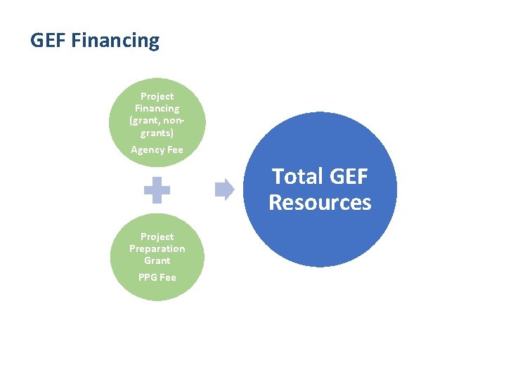 GEF Financing Project Financing (grant, nongrants) Agency Fee Total GEF Resources Project Preparation Grant