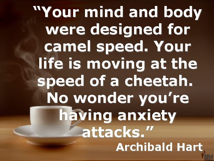 “Your mind and body were designed for camel speed. Your life is moving at