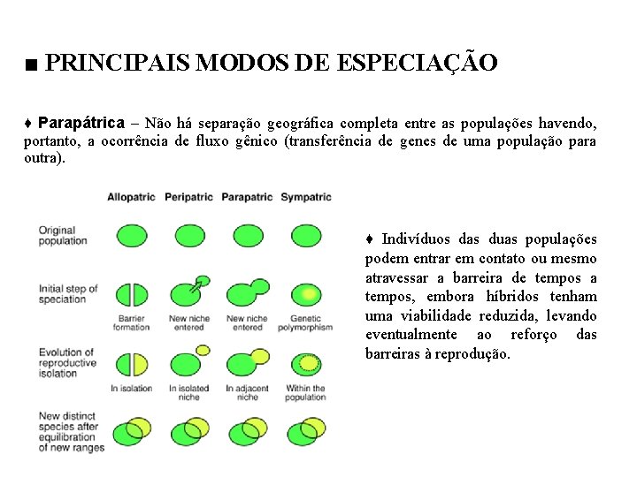 ■ PRINCIPAIS MODOS DE ESPECIAÇÃO ♦ Parapátrica – Não há separação geográfica completa entre