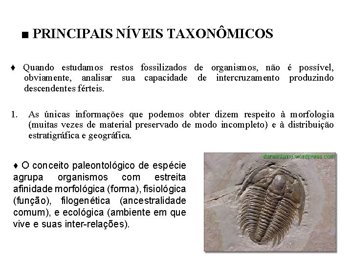 ■ PRINCIPAIS NÍVEIS TAXONÔMICOS ♦ Quando estudamos restos fossilizados de organismos, não é possível,