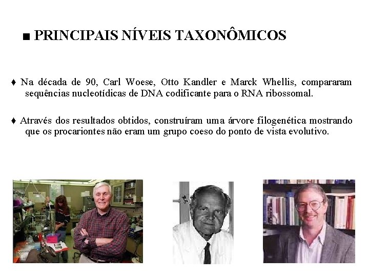 ■ PRINCIPAIS NÍVEIS TAXONÔMICOS ♦ Na década de 90, Carl Woese, Otto Kandler e