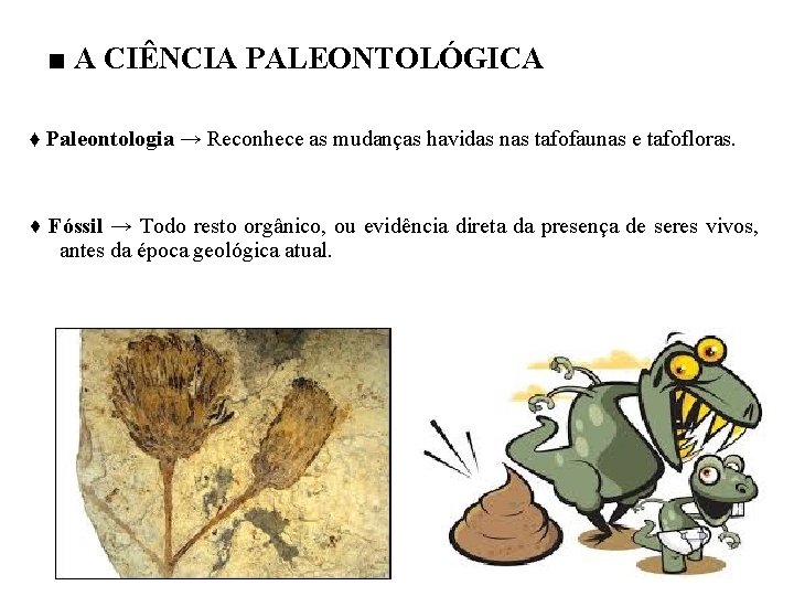 ■ A CIÊNCIA PALEONTOLÓGICA ♦ Paleontologia → Reconhece as mudanças havidas nas tafofaunas e
