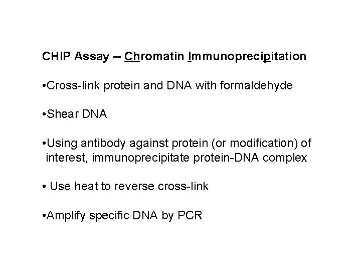 CHIP Assay -- Chromatin Immunoprecipitation • Cross-link protein and DNA with formaldehyde • Shear