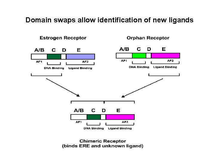 Domain swaps allow identification of new ligands 