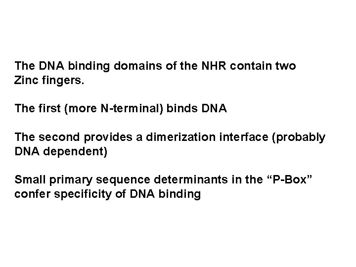 The DNA binding domains of the NHR contain two Zinc fingers. The first (more