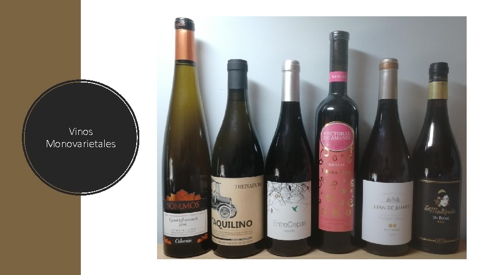 Vinos Monovarietales 