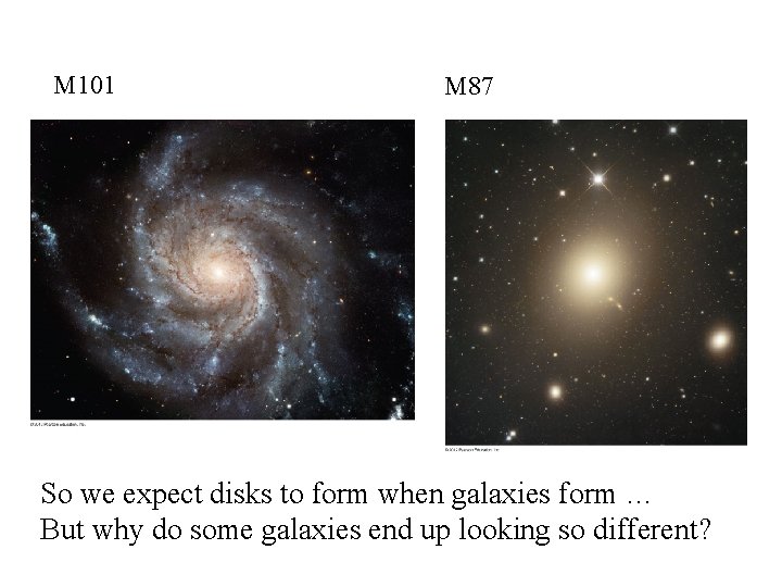 M 101 M 87 So we expect disks to form when galaxies form …