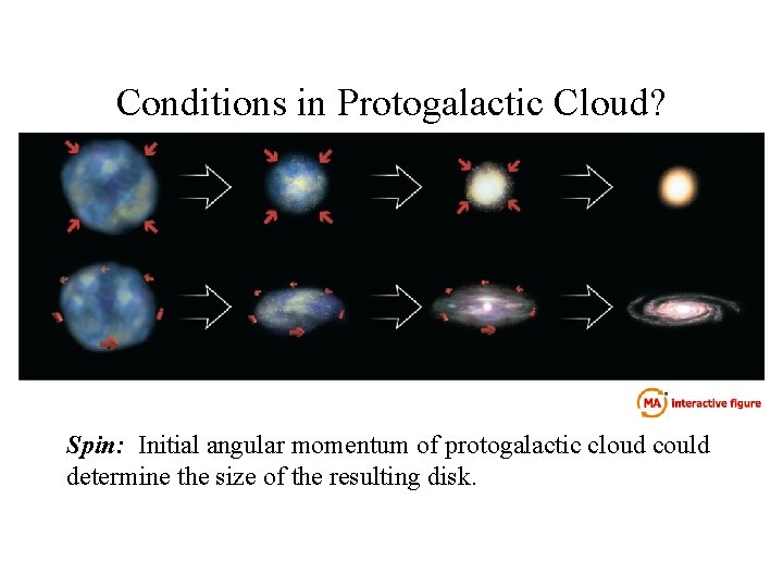 Conditions in Protogalactic Cloud? Spin: Initial angular momentum of protogalactic cloud could determine the