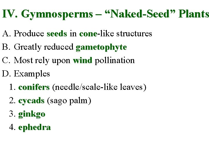 IV. Gymnosperms – “Naked-Seed” Plants A. Produce seeds in cone-like structures cone B. Greatly
