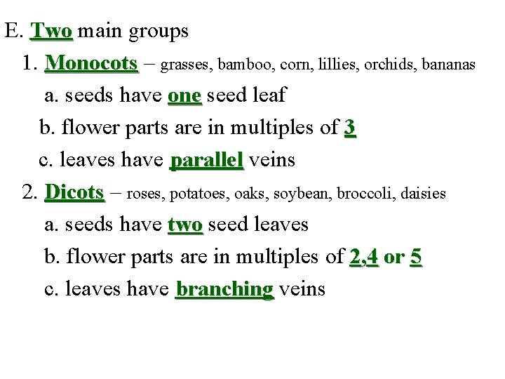E. Two main groups 1. Monocots – grasses, bamboo, corn, lillies, orchids, bananas a.