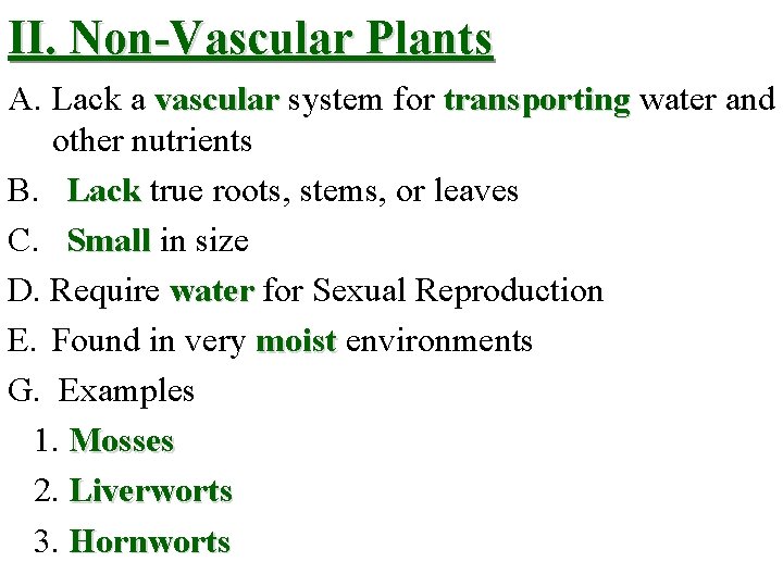 II. Non-Vascular Plants A. Lack a vascular system for transporting water and other nutrients