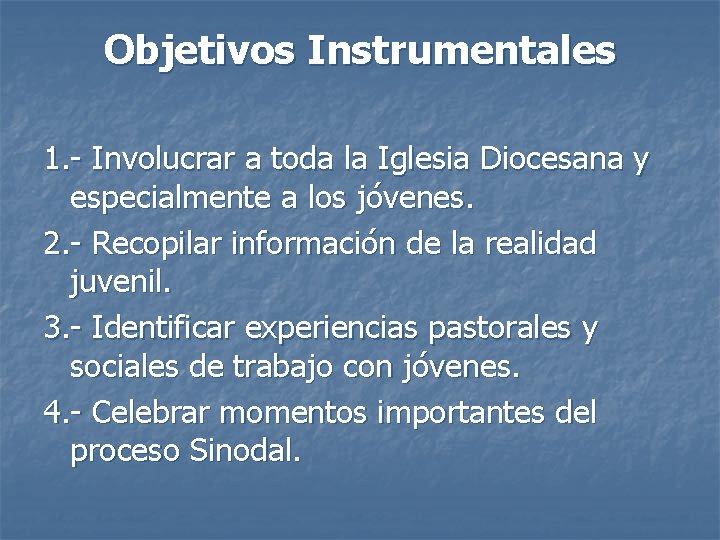 Objetivos Instrumentales 1. - Involucrar a toda la Iglesia Diocesana y especialmente a los