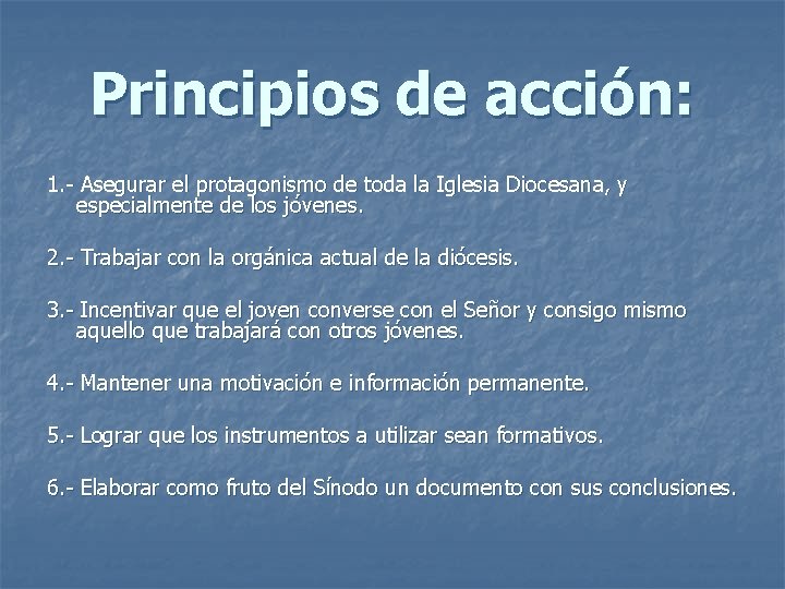 Principios de acción: 1. - Asegurar el protagonismo de toda la Iglesia Diocesana, y