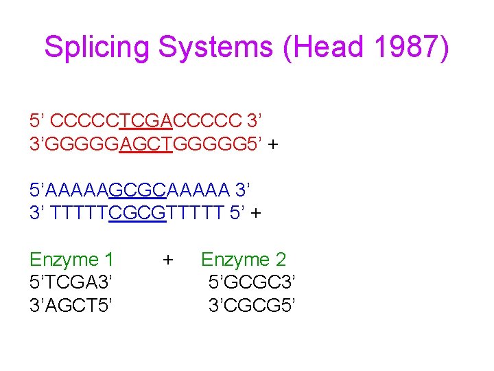 Splicing Systems (Head 1987) 5’ CCCCCTCGACCCCC 3’ 3’GGGGGAGCTGGGGG 5’ + 5’AAAAAGCGCAAAAA 3’ 3’ TTTTTCGCGTTTTT