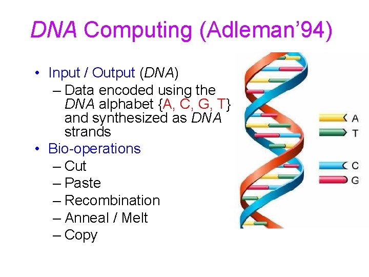 DNA Computing (Adleman’ 94) • Input / Output (DNA) – Data encoded using the